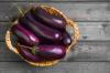 Culture d'aubergines: conseils d'experts
