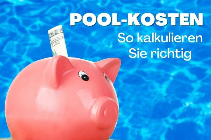 Piggy bank with pool