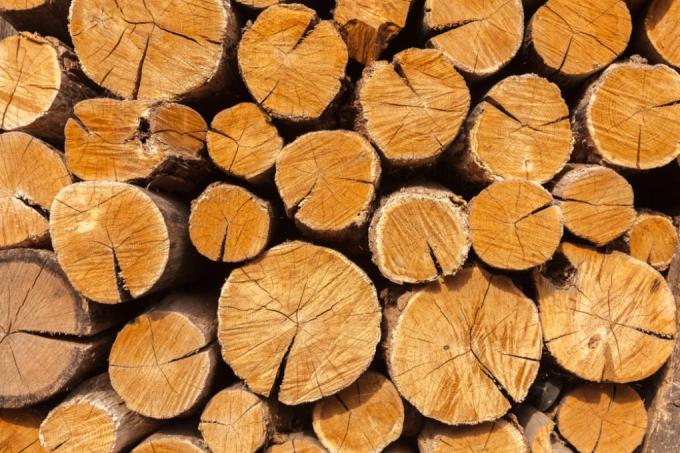 essiccazione del legno di quercia