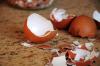 Gübre olarak yumurta kabukları: uygulama ve etkiler