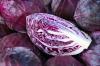 Ποικιλίες κόκκινου λάχανου: Πρώιμες & όψιμες ποικιλίες με μια ματιά