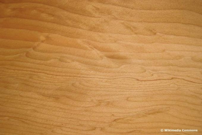 Cedar wood, wood color
