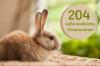 204 simpatici nomi di conigli femmine