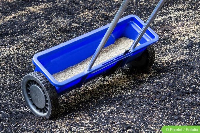 Spread lawn seed with a spreader