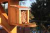 Build a squirrel bird feeder yourself: Instructions & tips