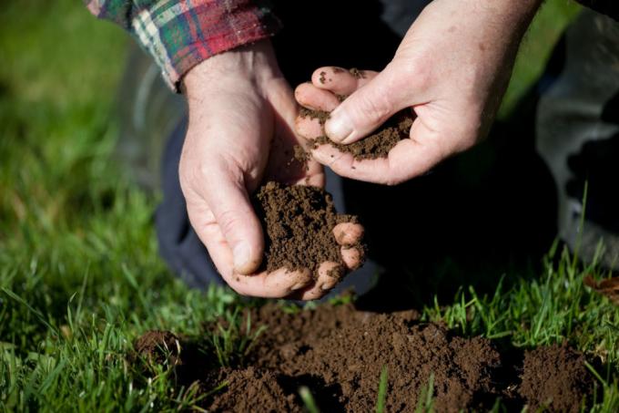 मिट्टी और मिट्टी की गुणवत्ता की जांच की जाती है