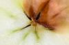 Obuolių veislė Saturn: auginimas, priežiūra ir naudojimas
