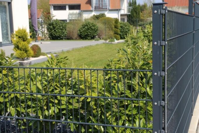 Двойной забор из проволочной сетки на участке с домом