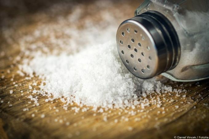 ウジに対する塩