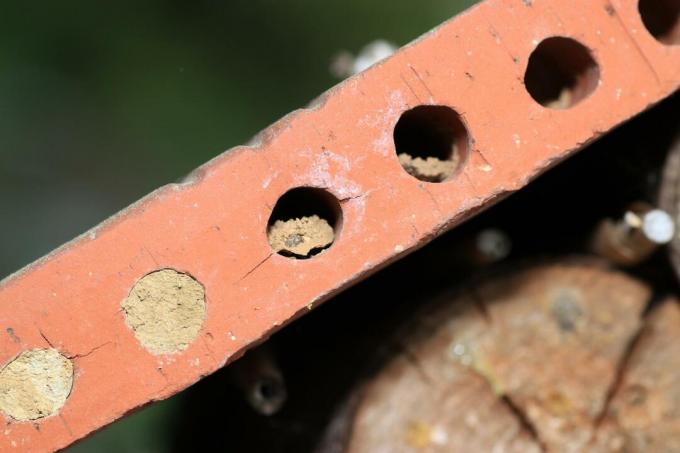 Hniezdna pomôcka pre divé včely vyrobená zo starých tehál