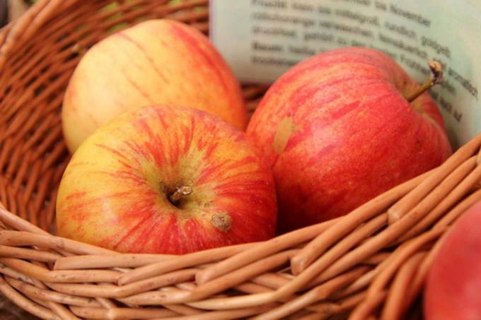 Alkmene tatlı ve eski bir elma çeşididir.