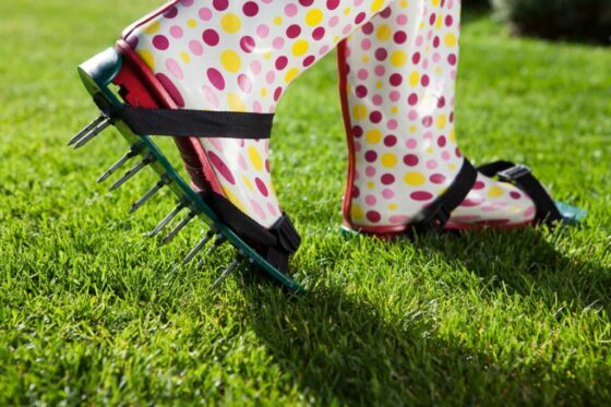 Luftning af græsplænen: Fordele & procedure for beluftning af græsplænen?