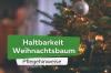 크리스마스 트리 지속 기간: Nordmann fir & Co.