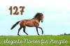 स्टालियन के लिए 127 सुरुचिपूर्ण और मजबूत घोड़े के नाम