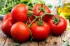 Żywiczny Ognisty Pomidor: Opis i Wskazówki dotyczące Uprawy