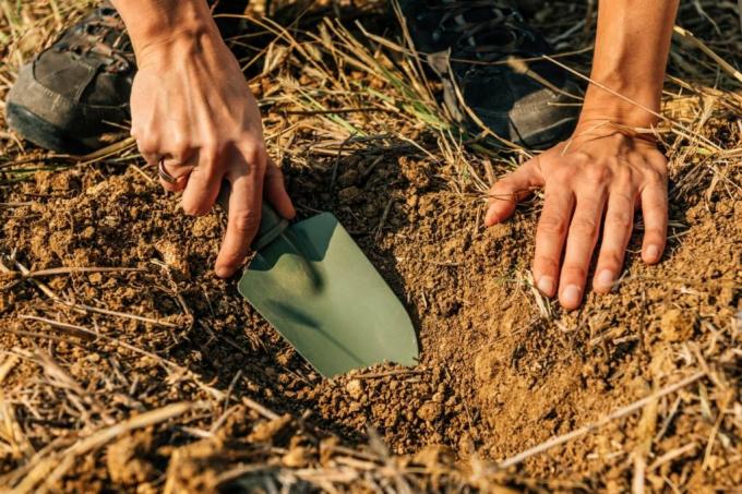 Uma pá é usada para cavar no solo