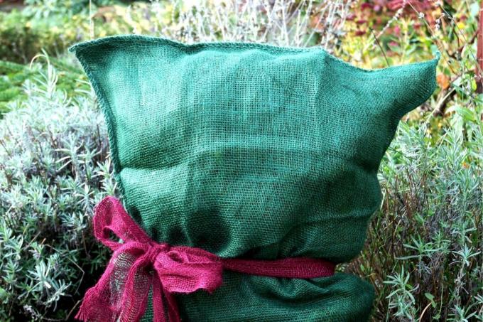 Jute sack as winter protection