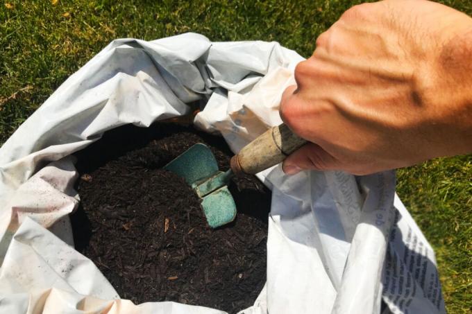 ant-in-potting-soil-sack