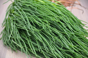 Monk's beard or Agretti: cultivation, care and use of the salt herb
