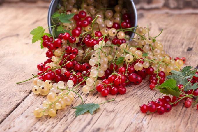 red and white currants on wooden table