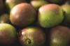 Мини киви: Порекло и узгој бобица кивија