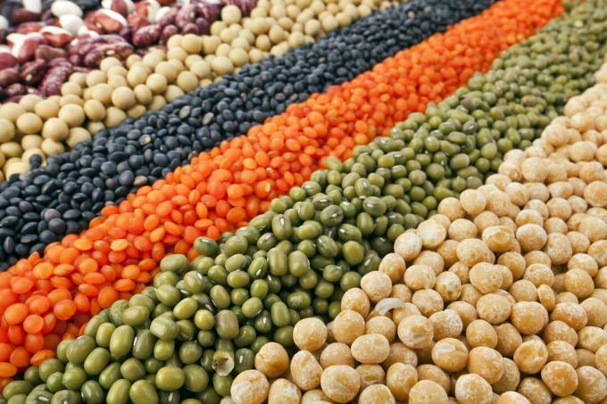 Semena fazolí barevné různé odrůdy