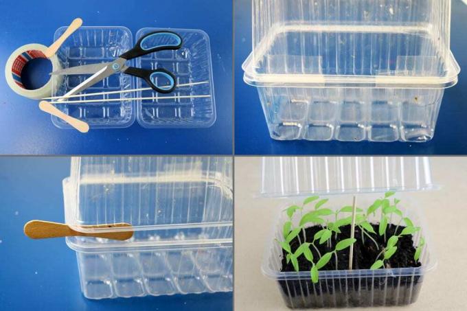 Mini embalaža za rastlinjake DIY