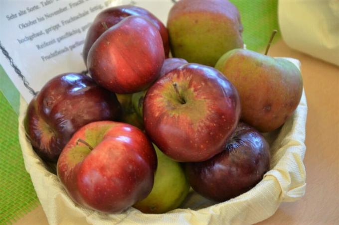 תפוחים אדומים של הרבסטקלוויל בקערה