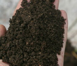 finest compost soil