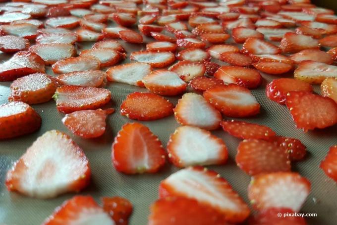 Propager des fraises