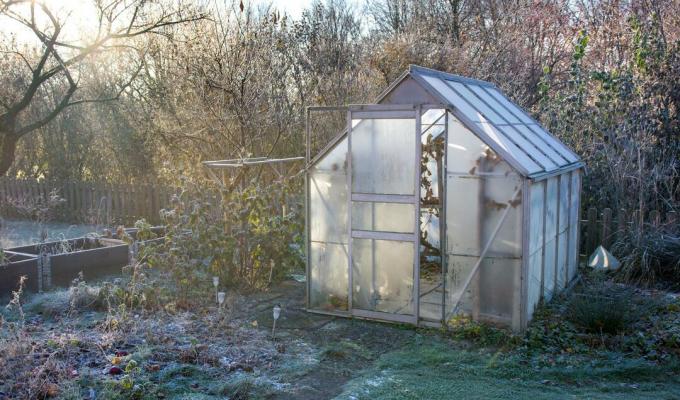 Växthus i trädgården i frost