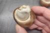Hvid mug på østerssvampe: er det farligt?