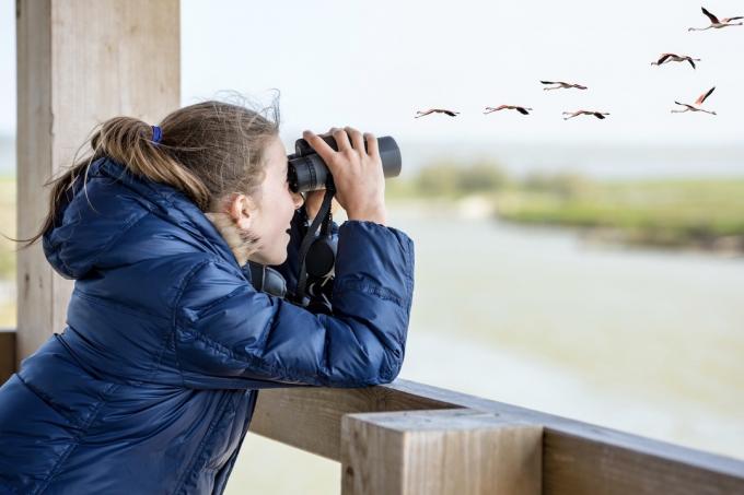 Obserwowanie ptaków przez dzieci