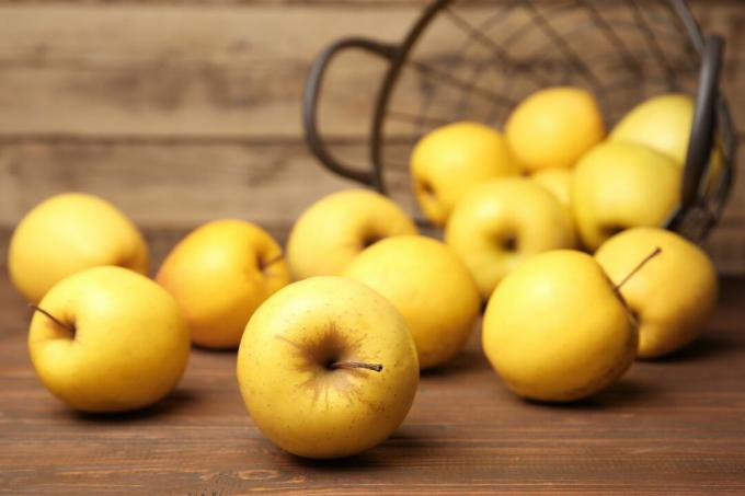 Kollased õunad laual korvis