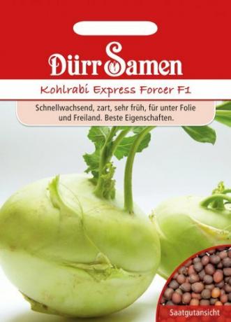 Kohlrabi Express Forcer F1 Dürr-Samen-ისგან