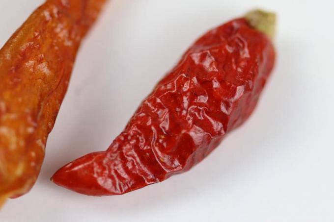 Pepperoni - Spaanse peper