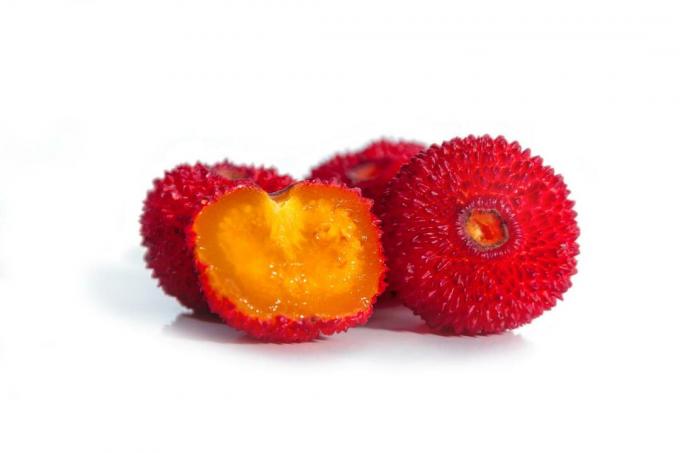 Ätliga frukter av jordgubbsträdet