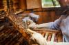 Τρόποι για να γίνετε χόμπι μελισσοκόμος: Οδηγίες & συμβουλές από επαγγελματίες