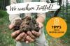 Menemukan truffle: di mana mereka tumbuh?