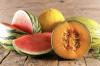 Melone: ​​izvor, vrste in raznolikost