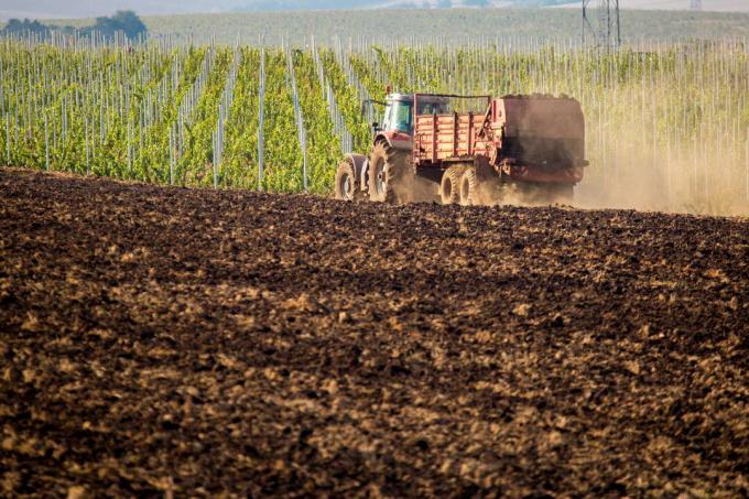 Traktor trosi gnoj po polju