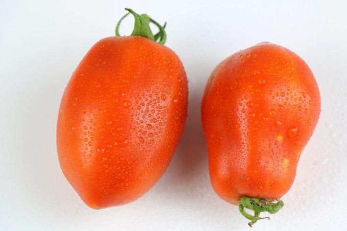 Odrody paradajok, slivkové paradajky