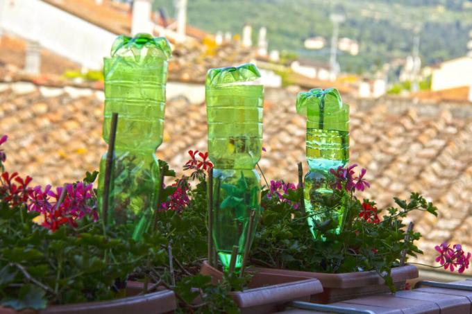 Watering with plastic bottles