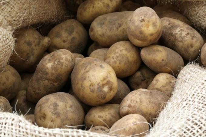 Зберігайте картоплю в джутових мішках