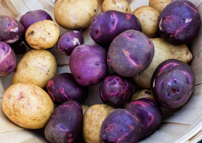 Purple and brown potatoes