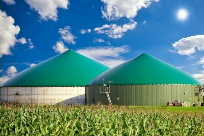 A lótrágya ártalmatlanítása – biogáz üzem