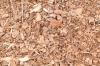 Bark mulch priser: Pris pr. kubikmeter