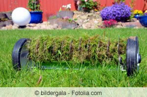 Scarifying helps prevent moss