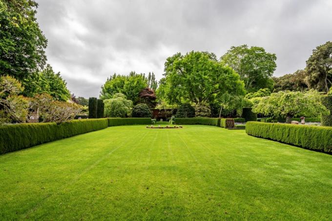 Pelouse dans un jardin anglais