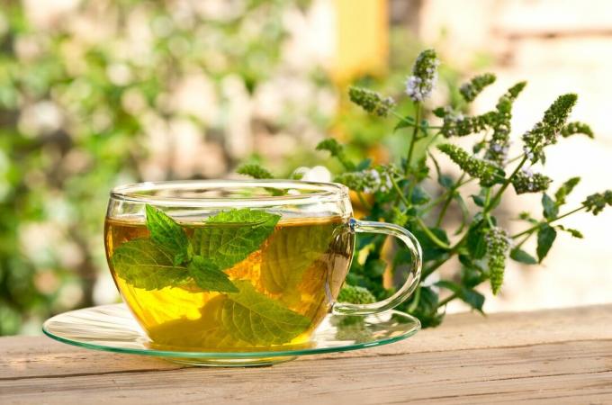 ספל תה עם תה צמחים מנטה